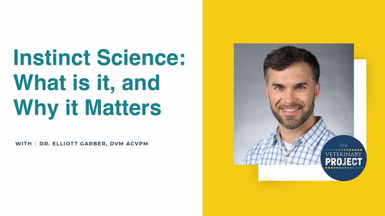 Instinct Science  What is it, and Why it Matters