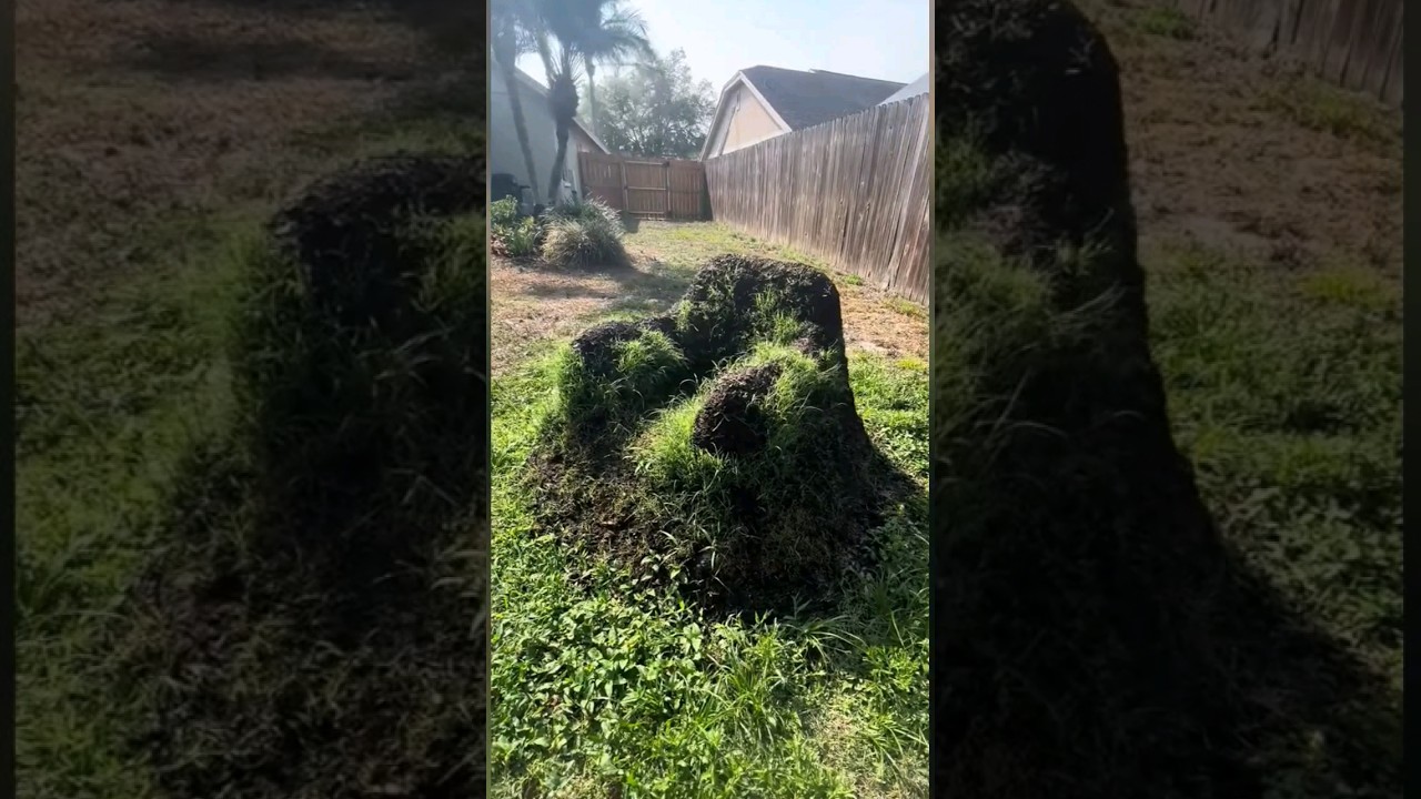 У ГНОМА ПОЛЗУНА НОВЫЙ ТРОН! 🧙‍♂️🔥👑