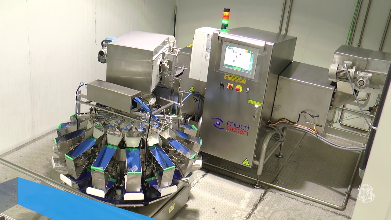 COMPLETE TUBE ICE FACTORY - COALZA MULTIHEAD WEIGHING SYSTEM