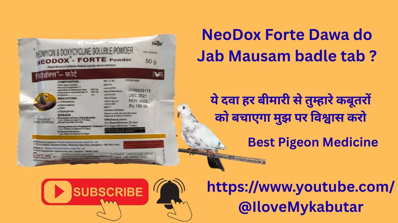 Mausam Badal Gya hai Dosto es lie apne kabutaro ko Neodox Forte Powder de do | #Pigeon