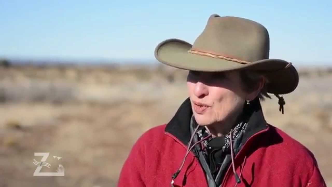 Letting the Water Do the Work - Mesteno Draw Ranch
