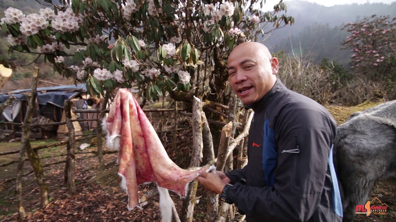 หมู่บ้านกุลาบ1000ปี เนปาล