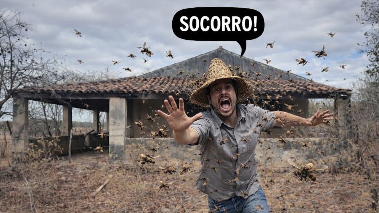 O Que Fez os Moradores Abandonarem Essa Casa?