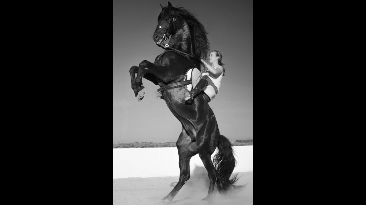 Menorca A Cavall Horse riding Menorca 2023