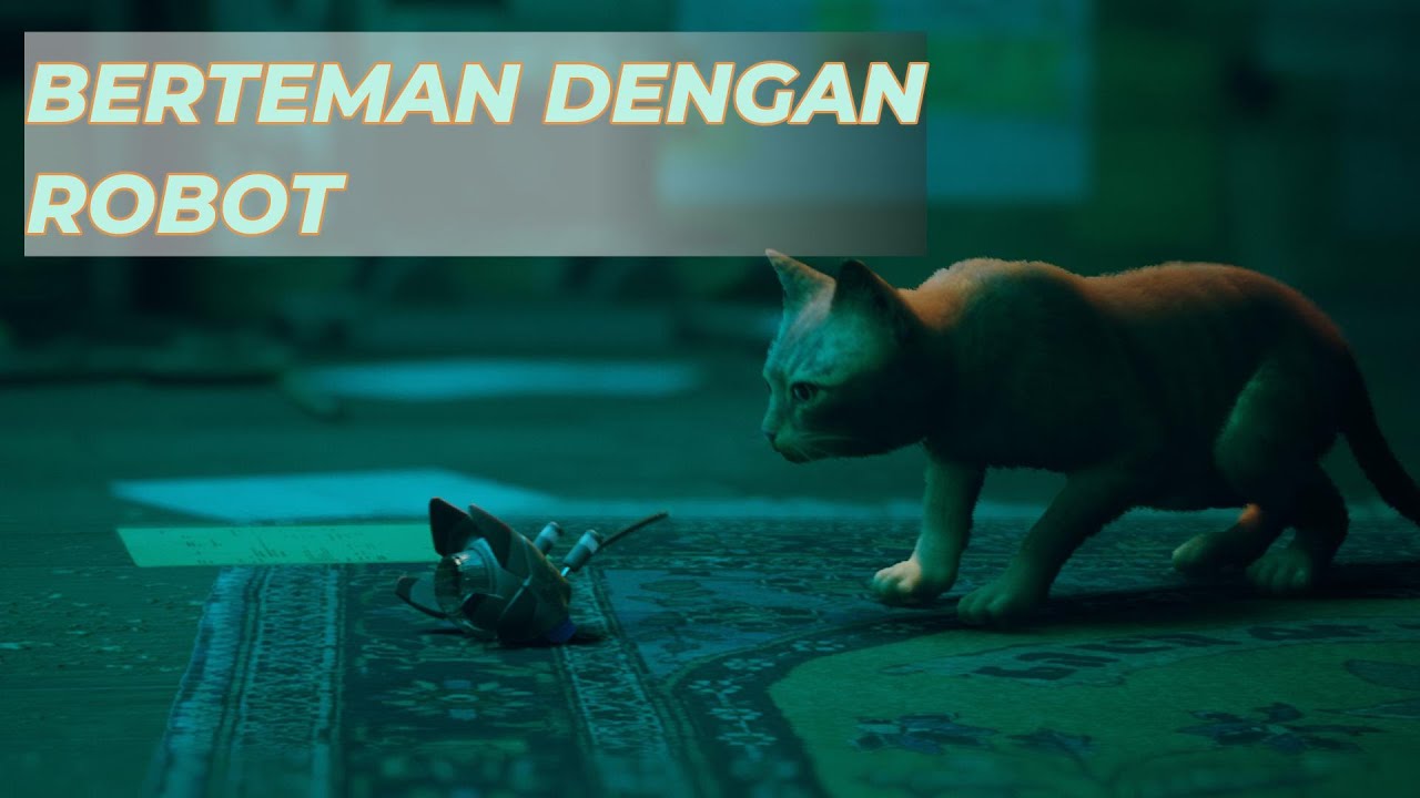 KUCING OREN BERTEMAN DENGAN ROBOT | STRAY
