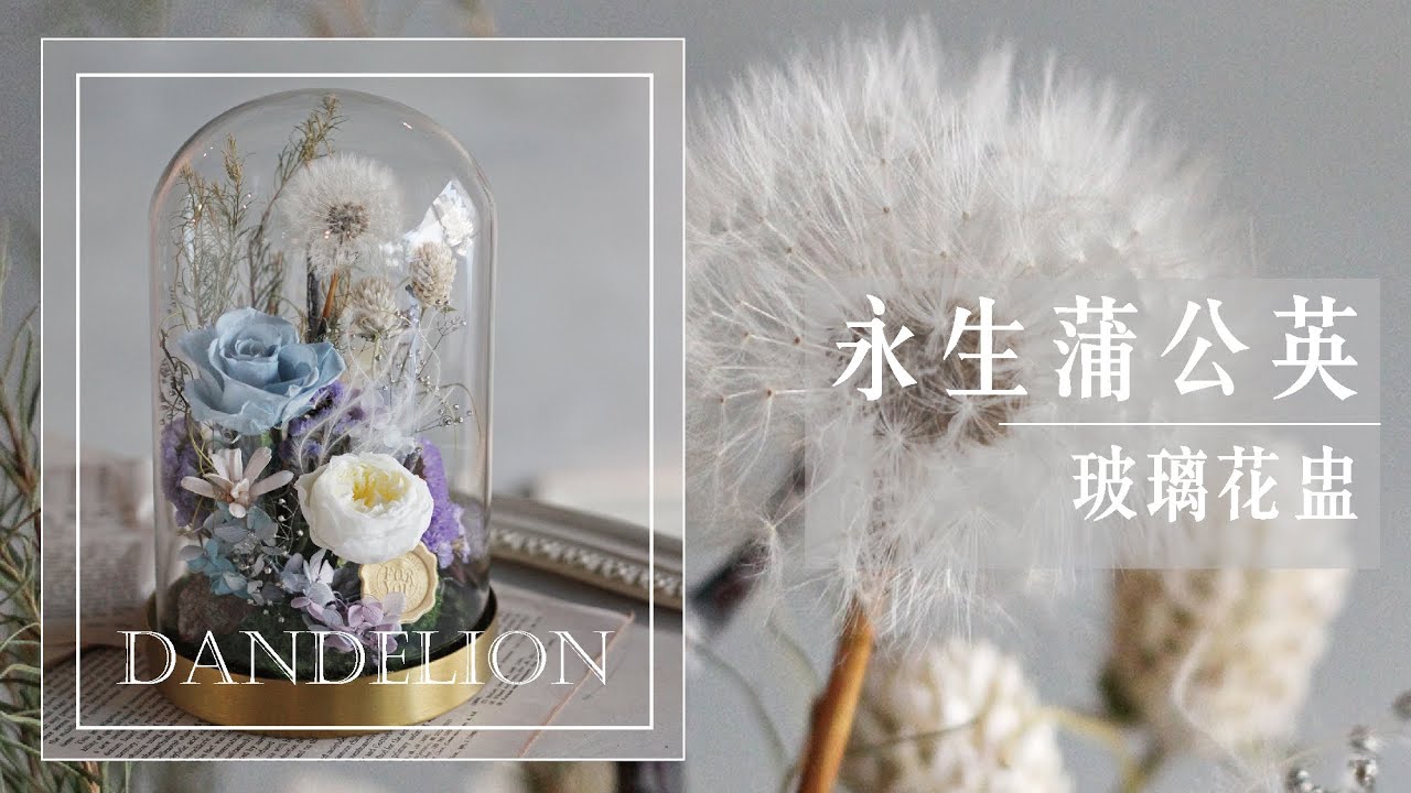 艾瑞兒花藝 Ariel's Flower  ▍山坡上的蒲公英．玻璃花盅