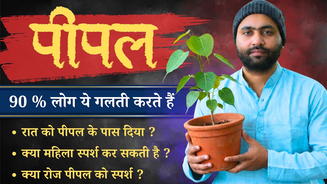 पीपल वृक्ष की पूजा और स्पर्श । कहीं नुकसान न हो जाए । Yogiraj Manoj