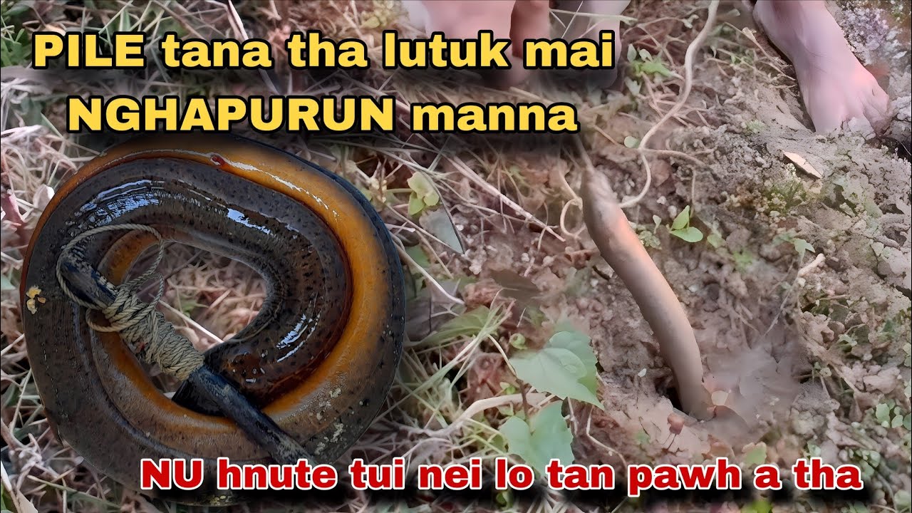 PILE damdawi NGHAPURUN ka man teuh mai, Nu hnute tui ngah lo tan pawh duhthusam in a tha.