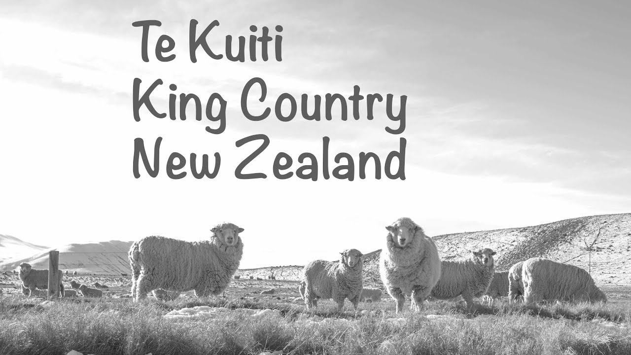 Te Kuiti New Zealand (Autumn)