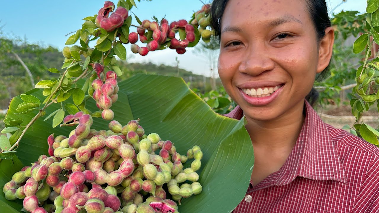 អំពិលទឹក ទឹកត្រី ឆម ស្រីផាច - Chhom Sreypach