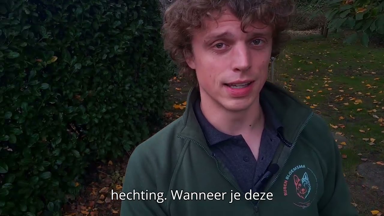 Heb jij hieraan gedacht toen je een nieuwe hond in huis haalde?