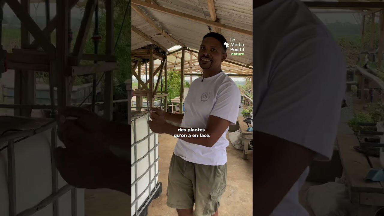 Aquaponie en Côte d’Ivoire : Ludovic Leclerc Gnagui lance la première ferme Akwaponics CI