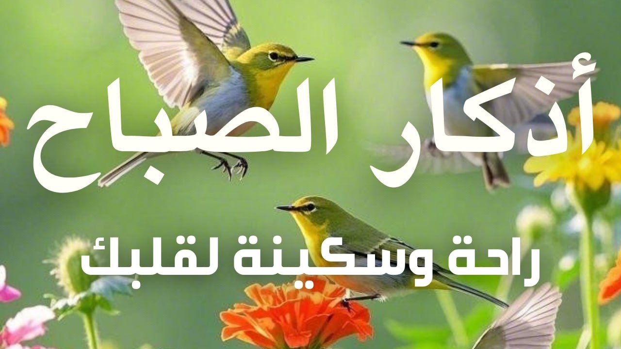 أذكار الصباح - راحة نفسية لا توصف بصوت القارئ علاء عقل | Morning Athkar - Dzkir Pagi