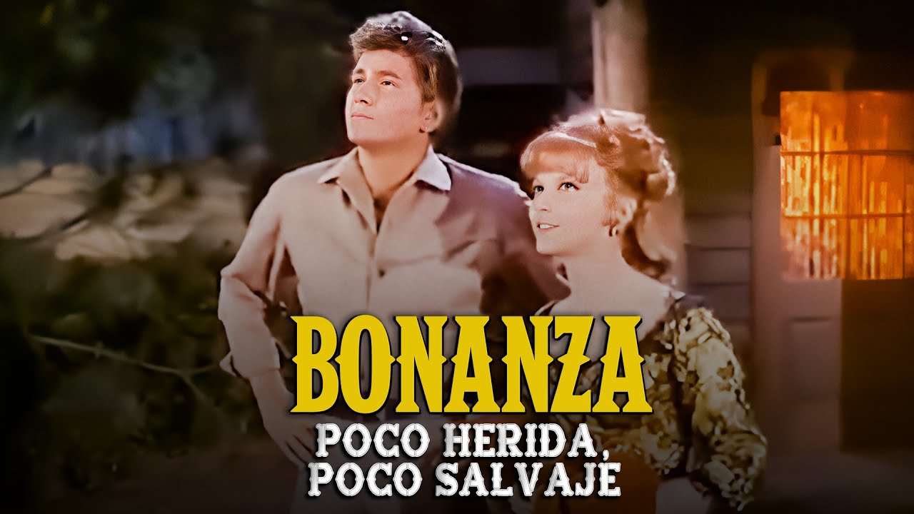 Bonanza | Capitulo 154 | Poco Herida, Poco Salvaje | Cap&iacute;tulo Completoa
