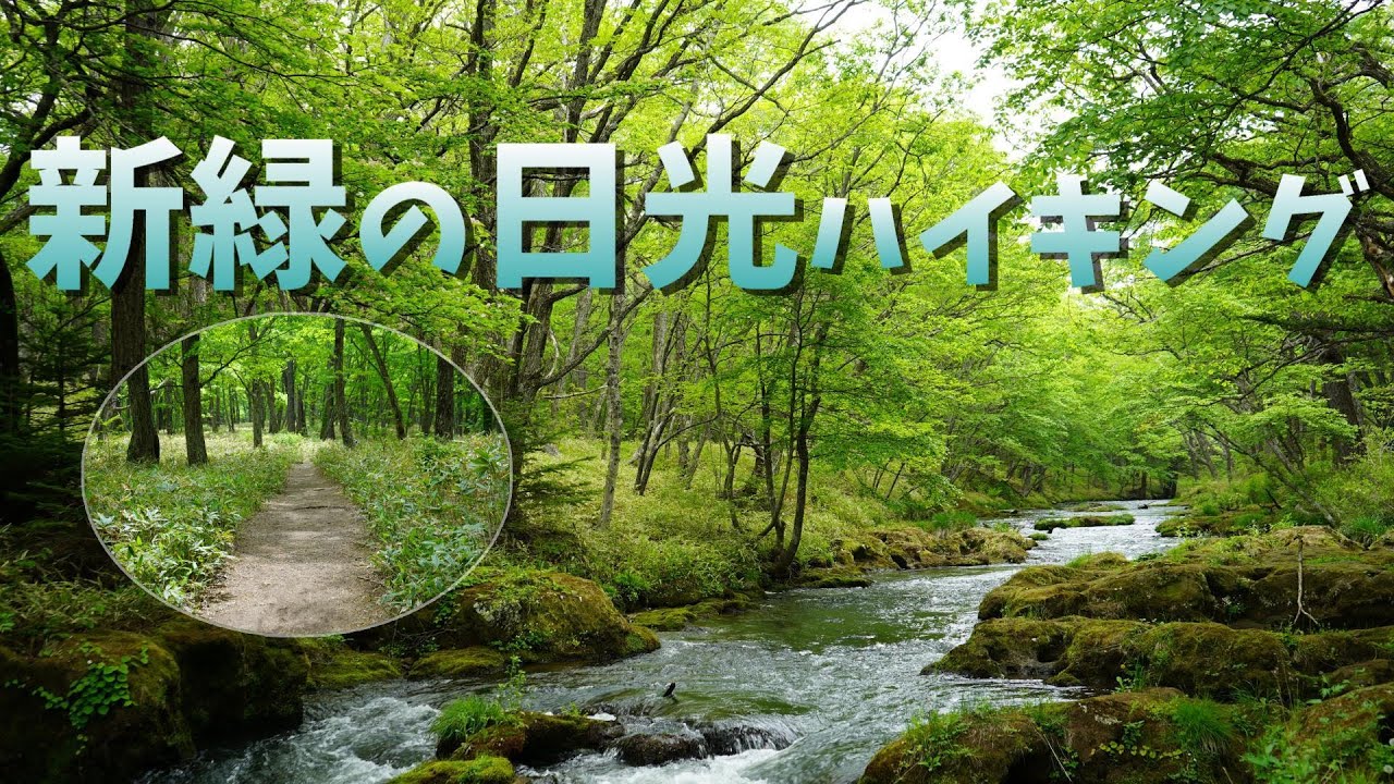 4K 日光 日帰りハイキング・トレッキング♪　新緑の戦場ヶ原を歩く・湯滝から竜頭の滝上まで