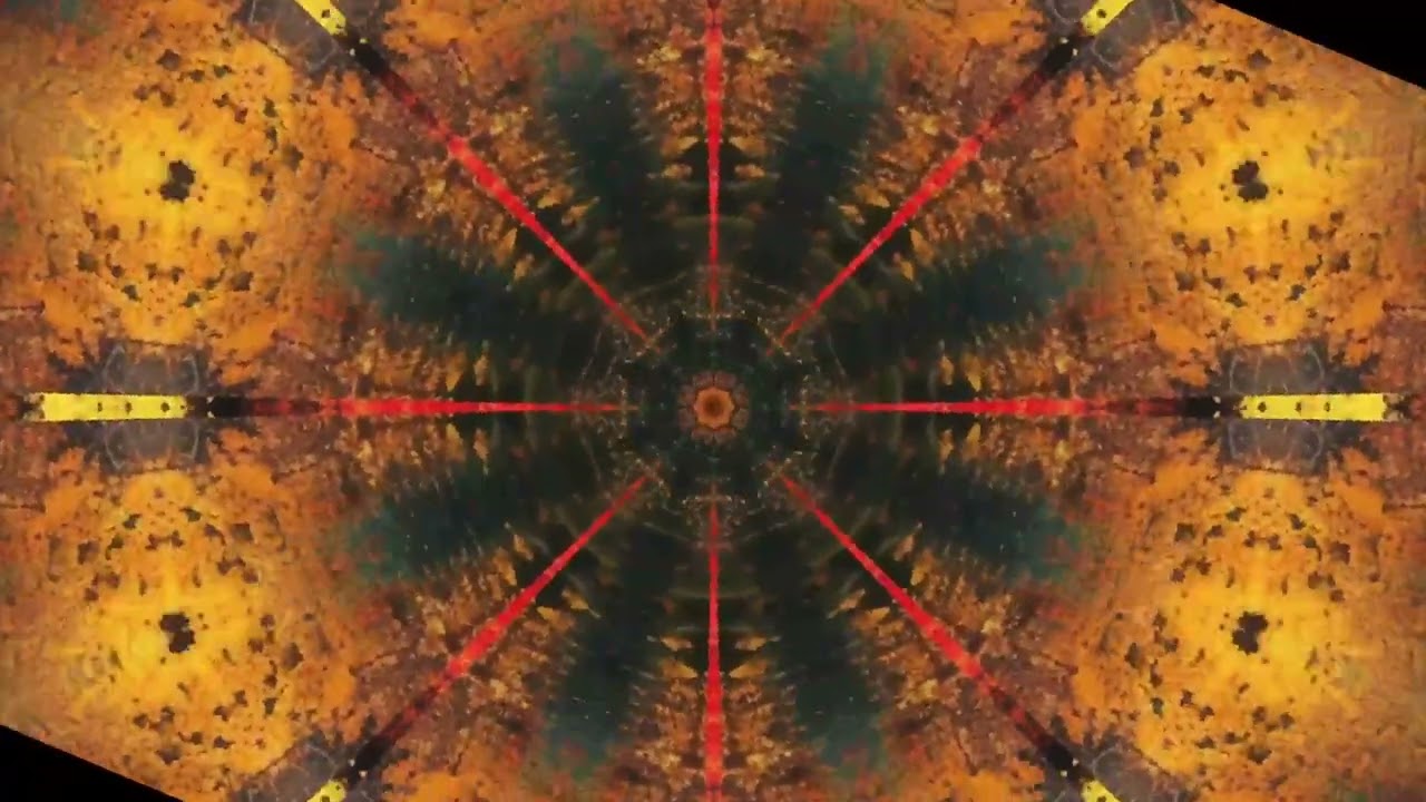 Living in Divine Rhythm: The Secret to Flow State & Effortless Life