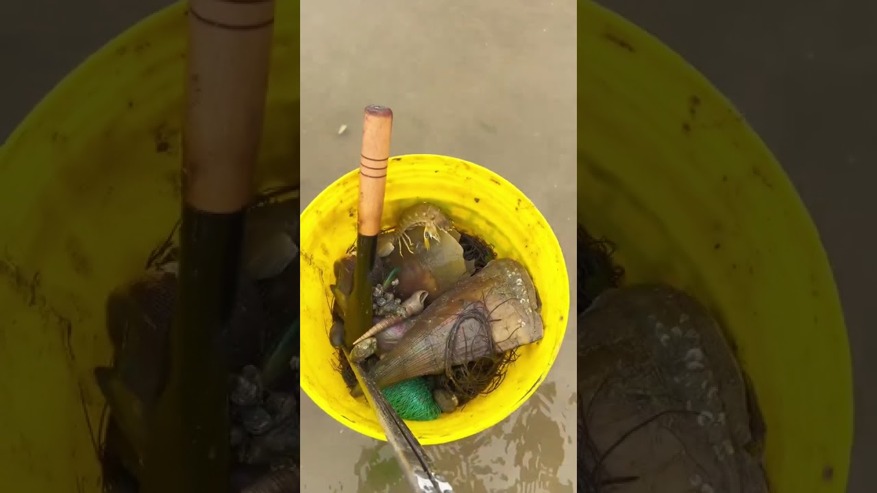 春日带你们来看看，真实赶海的生活