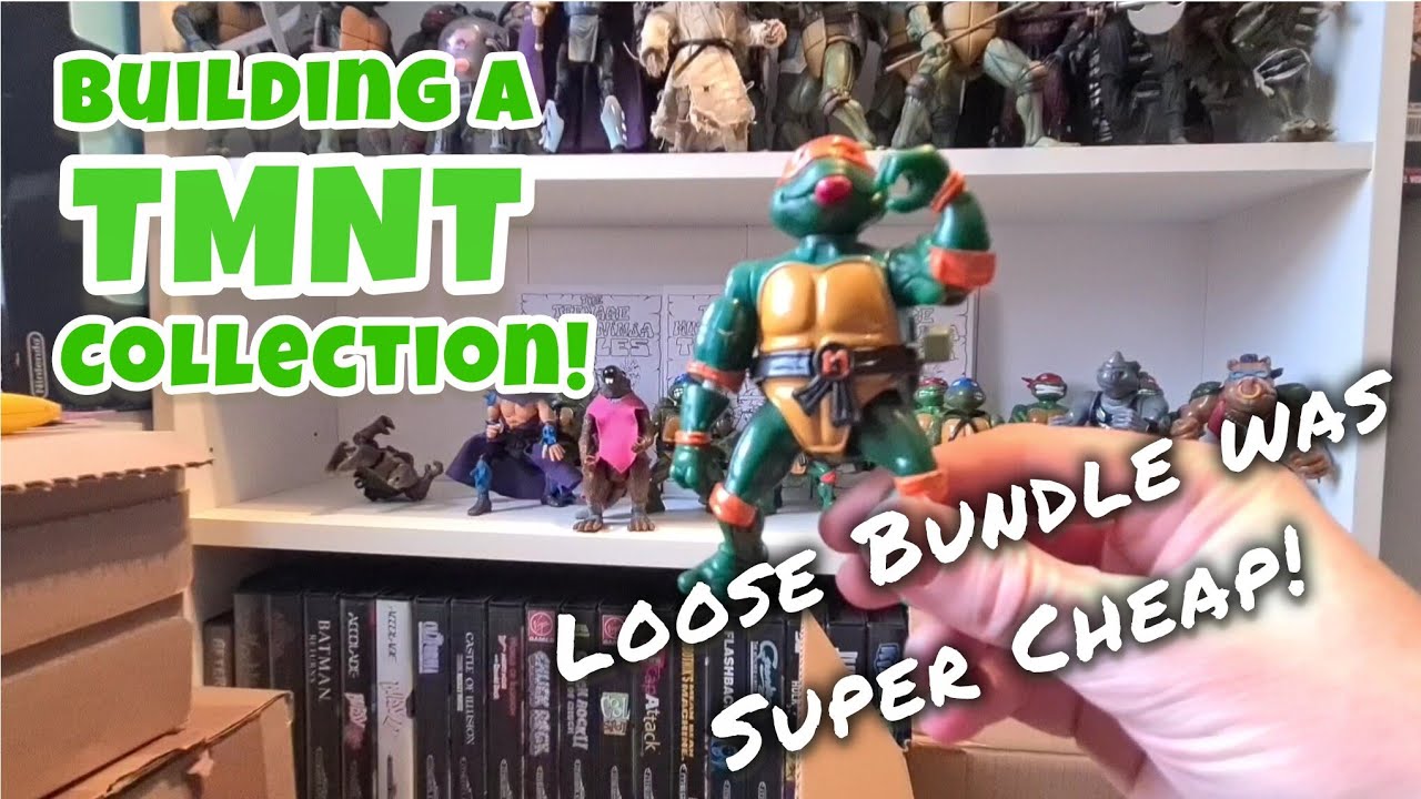 Building a Teenage Mutant Ninja Turtles Toy Collection! #tmnt