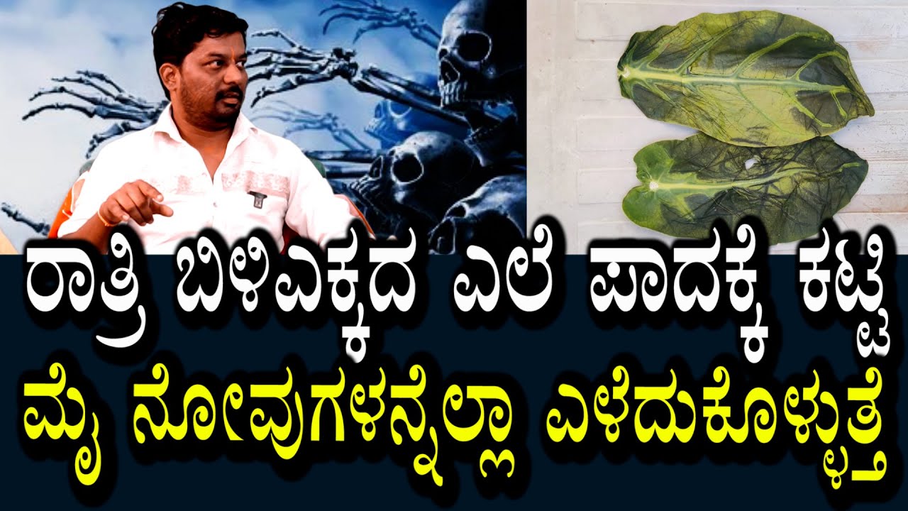 ರಾತ್ರಿ ಎಕ್ಕದ ಎಲೆಯನ್ನು ಪಾದಕ್ಕೆ ಕಟ್ಟಿದ್ರೆ ಮೈ ನೋವುಗಳನ್ನೆಲ್ಲೆ ಎಳೆದುಕೊಳ್ಳುತ್ತೆ | ತೊಂದರೆ ಇದ್ರೆ ಕಪ್ಪಾಗುತ್ತೆ