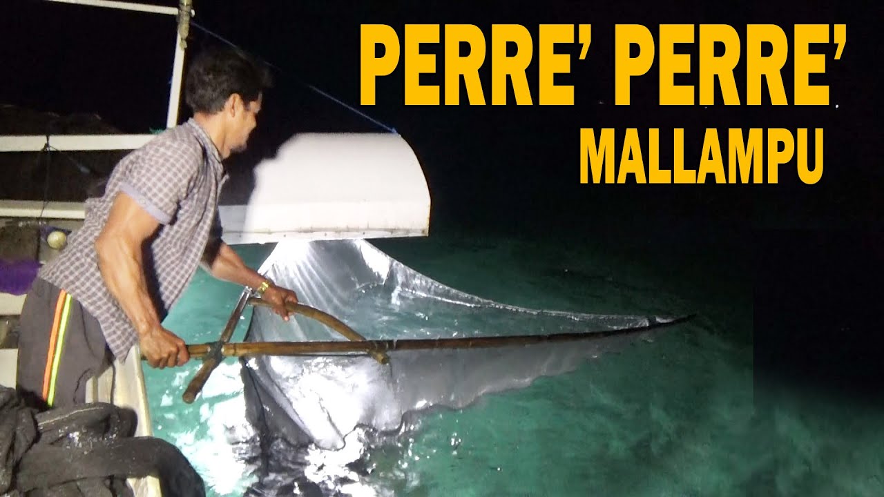 Menangkap ikan menggunakan jaring bunre ‼️Mallampu ‼️Perre'-Perre'