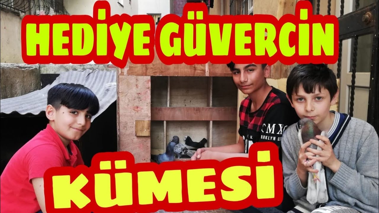 Küçük kuşçulara güvercin kümesi hediye ettik.