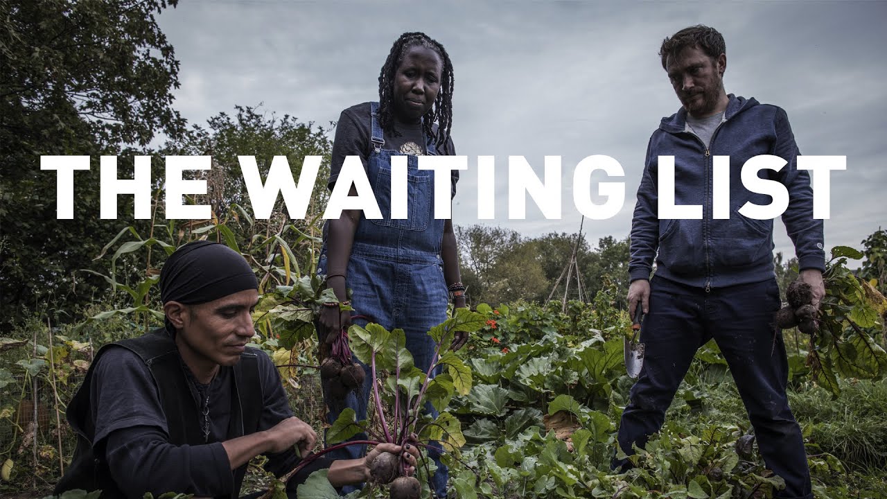 The Truth About Britain&rsquo;s Allotment Waiting List