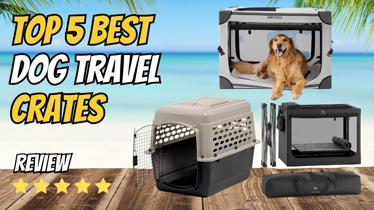 Top 5 Best Dog Travel Crates 2026 | Airline-Friendly , Road Trip & Large Dog Options