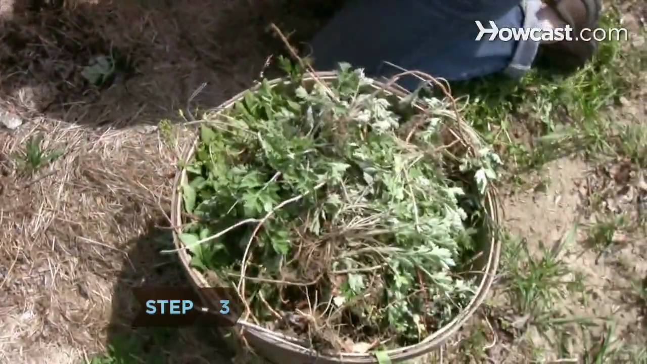 How to Practice Organic Farming