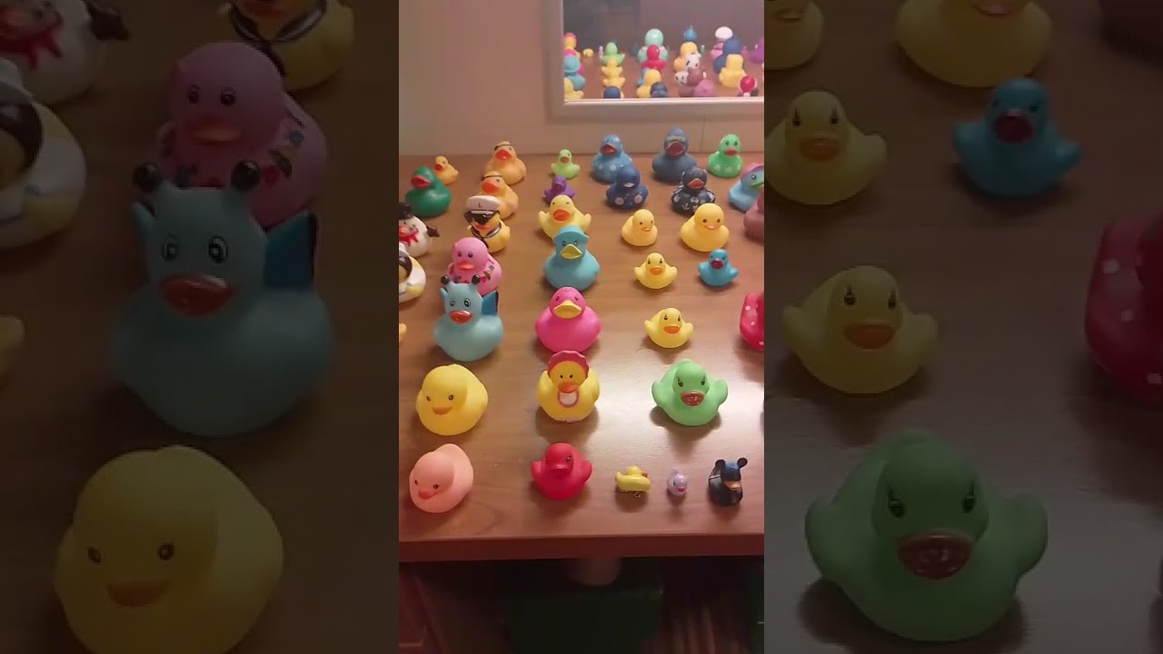 A Tradição dos Patinhos