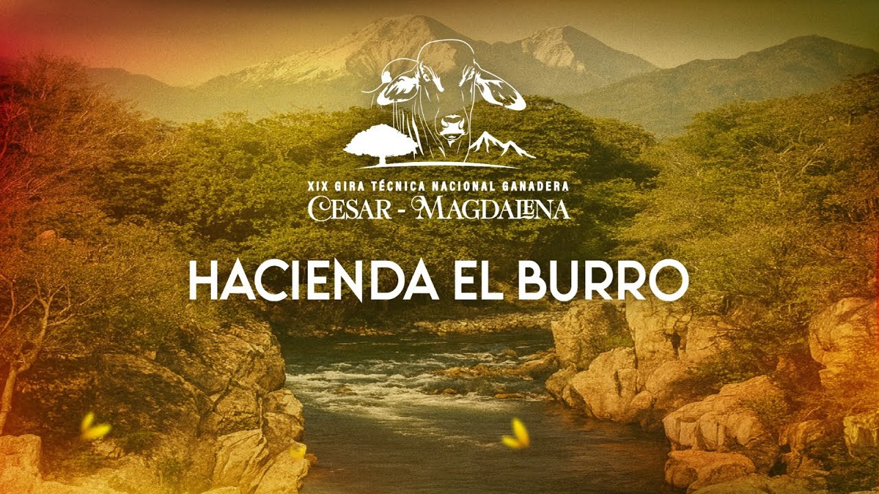 El Burro (Gira Virtual Ganadera Cesa . Magdalena)