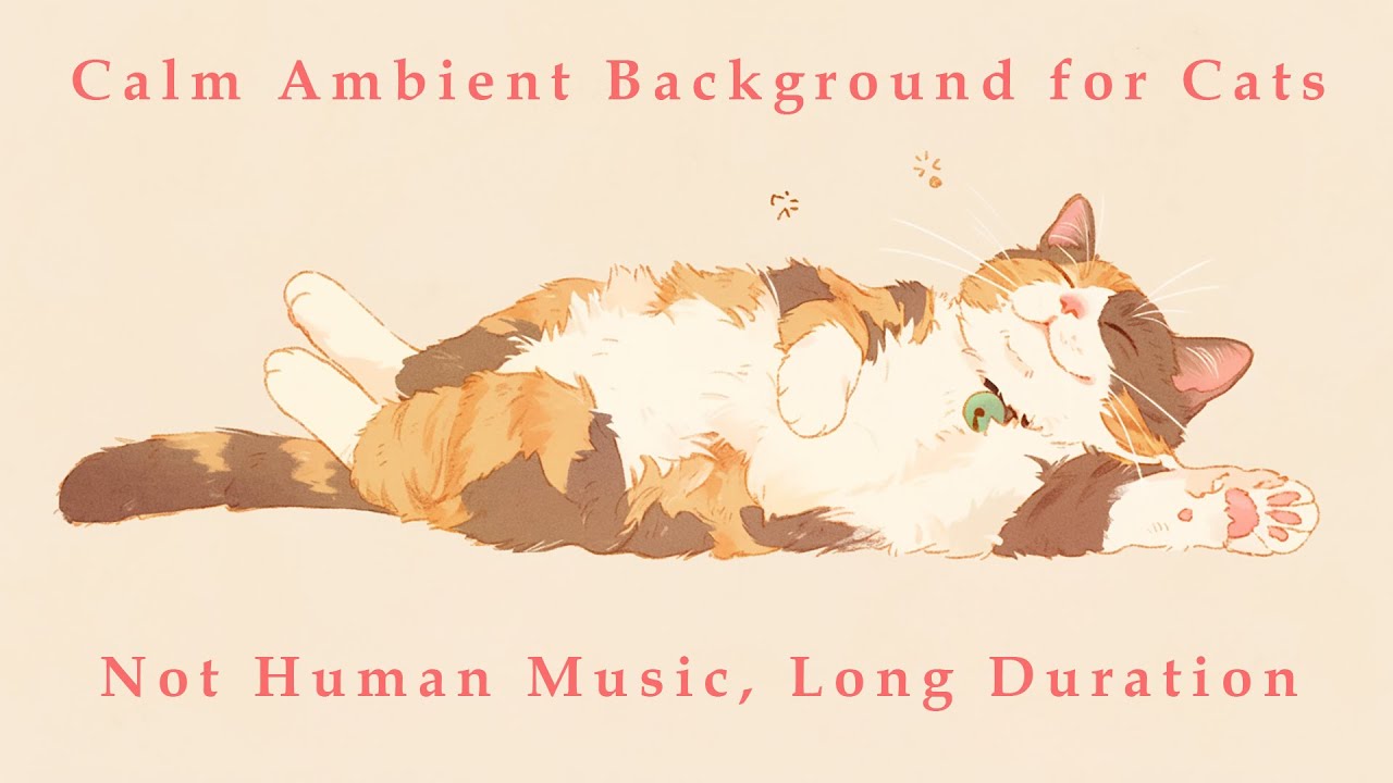 Calm Ambient Background for Cats | Not human Music | Long Duration