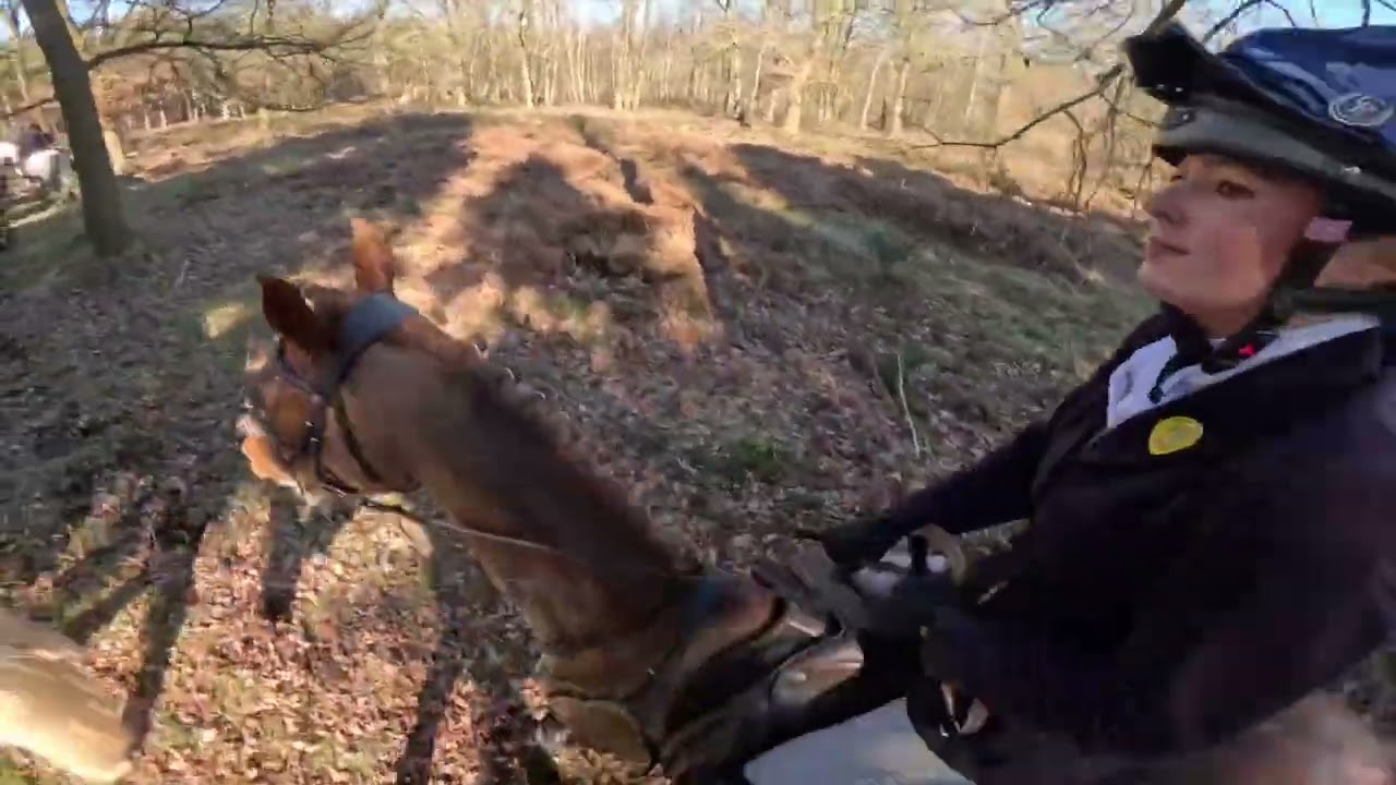 Readyfield Bloodhounds @ Thoresby