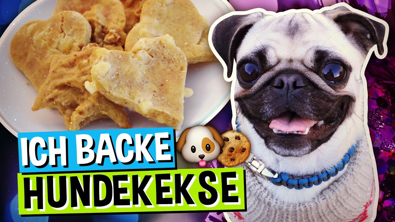 HUNDEKEKSE BACKEN 🐶🍪 mit Mops Frieda