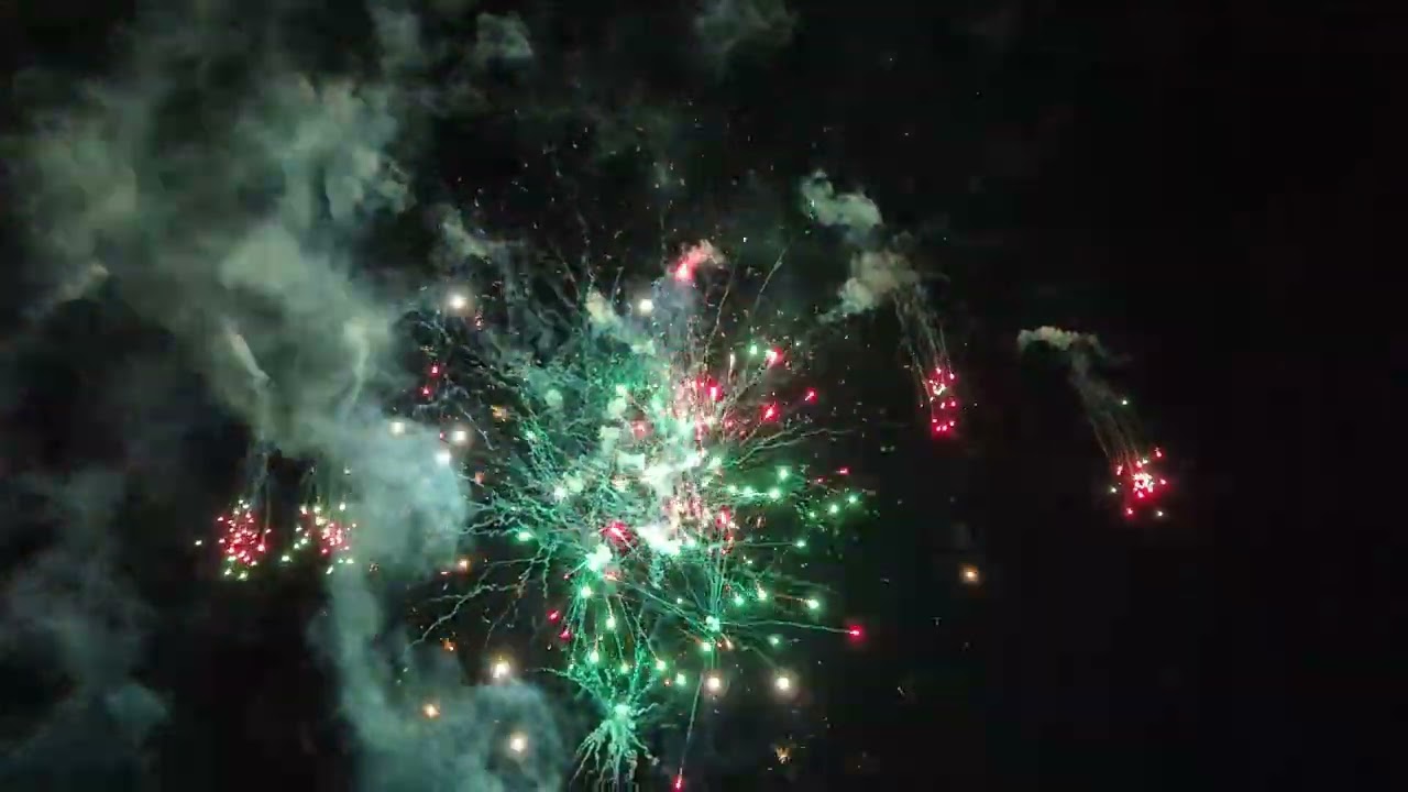 FLAMINGO 🦩🌴 191 shot firework 🎆