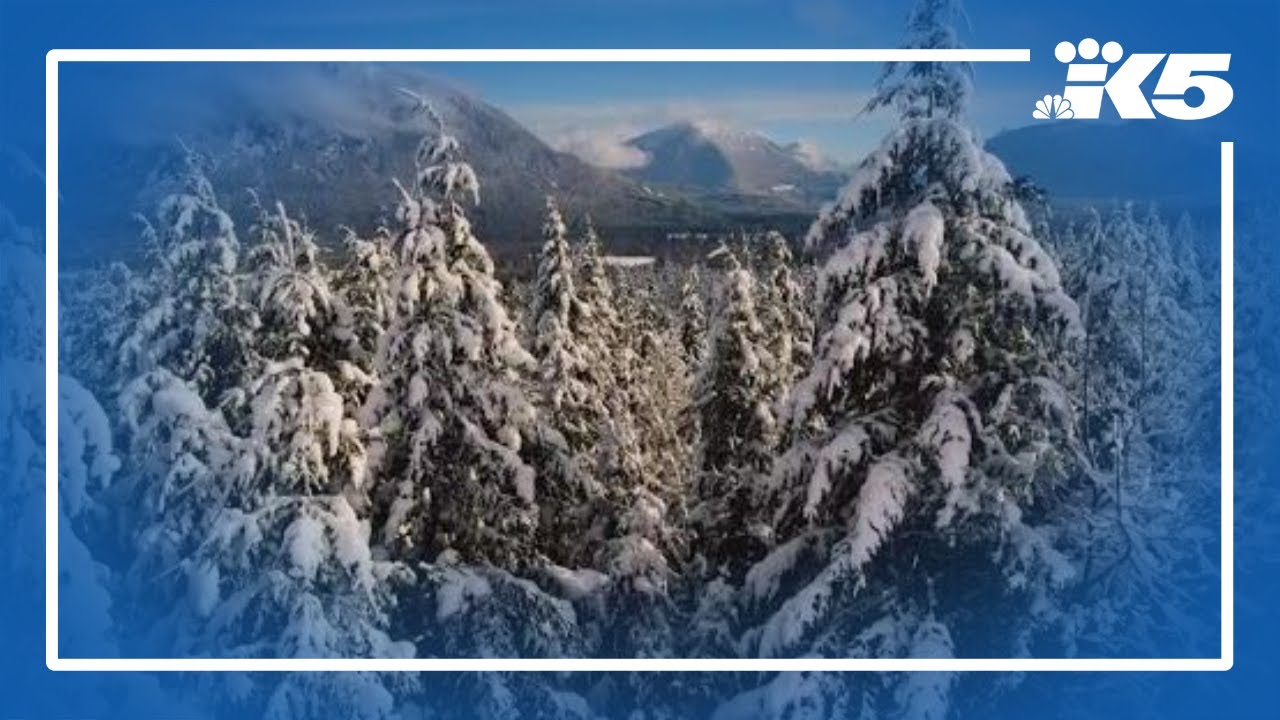 Victims of Jan. 9 deadly avalanche identified