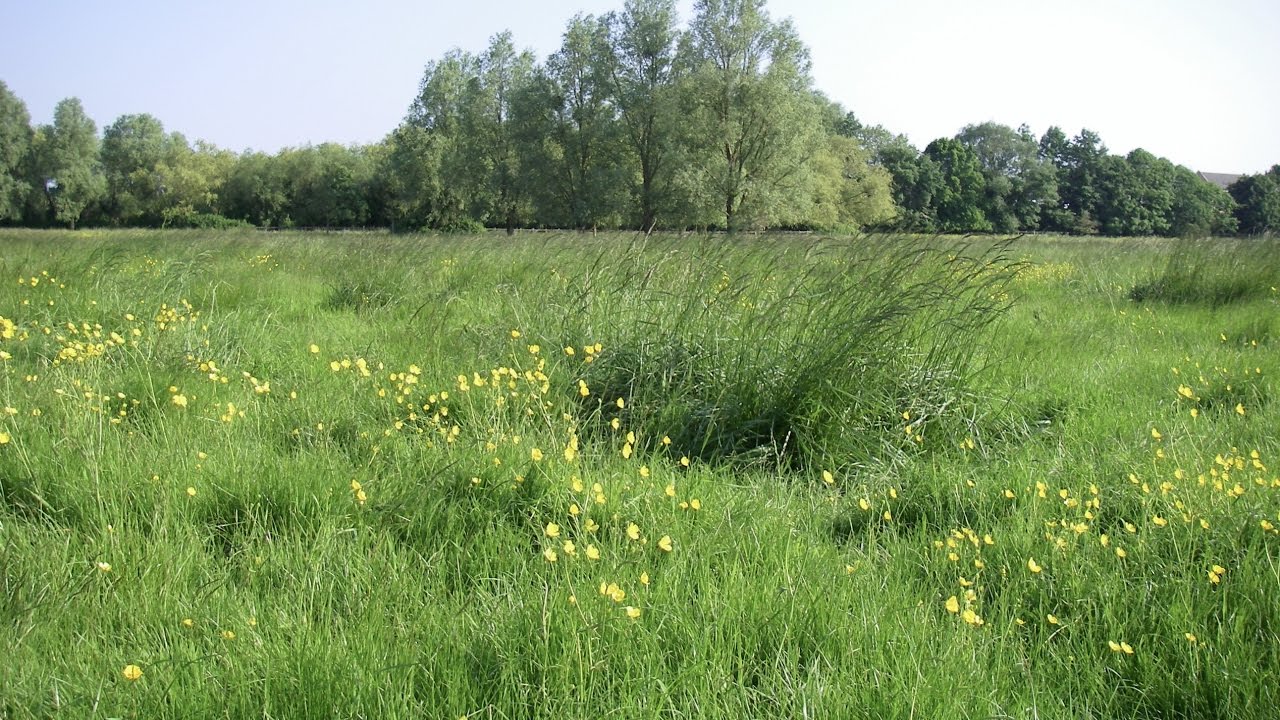 Along to Stourbridge Common, Cambridge, England