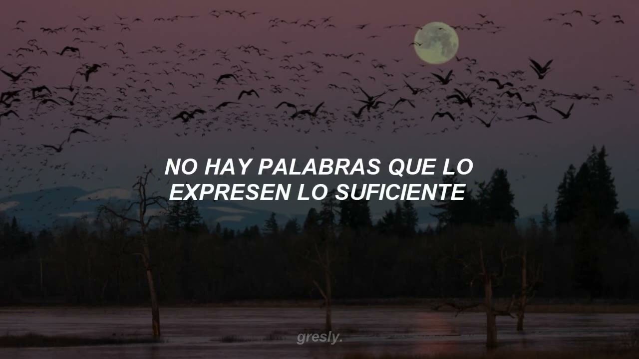 Stay Alive (Prod. SUGA of BTS) - Jung Kook ♪ Sub. Español