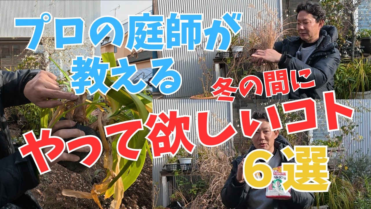 【春のために】プロだから言える、冬が一番やることある！　#庭づくり #ガーデニング #ガーデンデザイン #ぐりんぐりん
