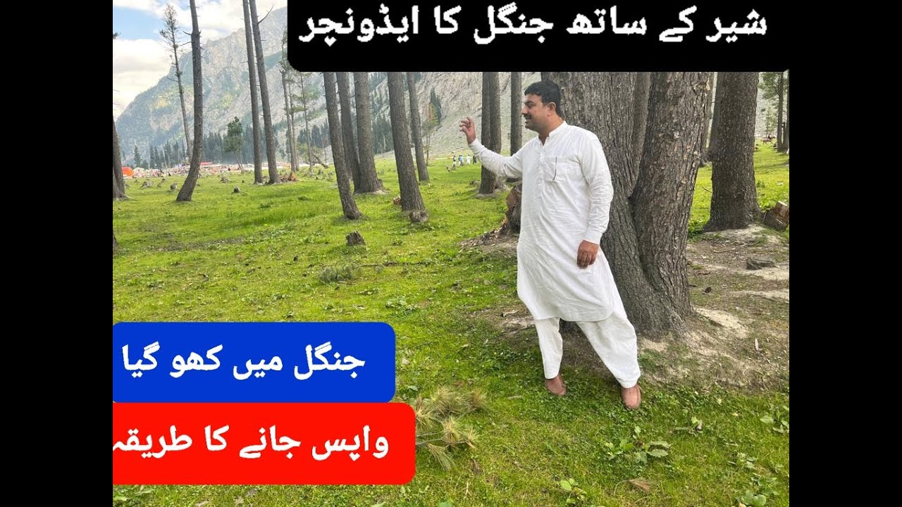 Adventure in Beautiful 4K Scenes Forest     ||        دوستوں کے ساتھ جنگل کی سیر