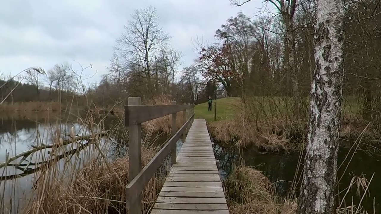 Örmis - Weiher (Illnau - Effretikon) Teil 5