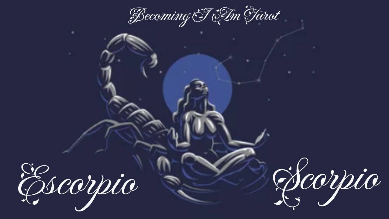 Scorpio February letting go of a dream to make a practical move #scorpio #becoming_i_am #tarot #2026