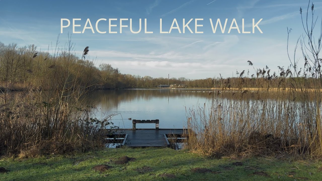 Lake Walk in Rotselaar, Belgium - A Quiet Afternoon