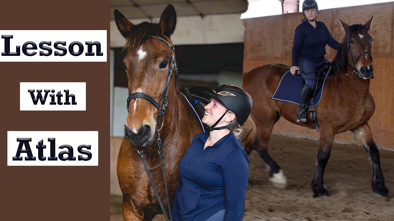 Lesson with Atlas: A Horse with an Unknown Past