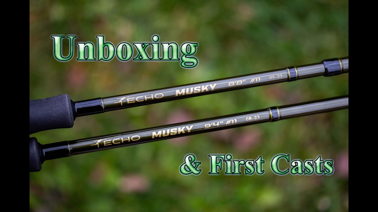Echo Musky (11wt): распаковка и первые впечатления