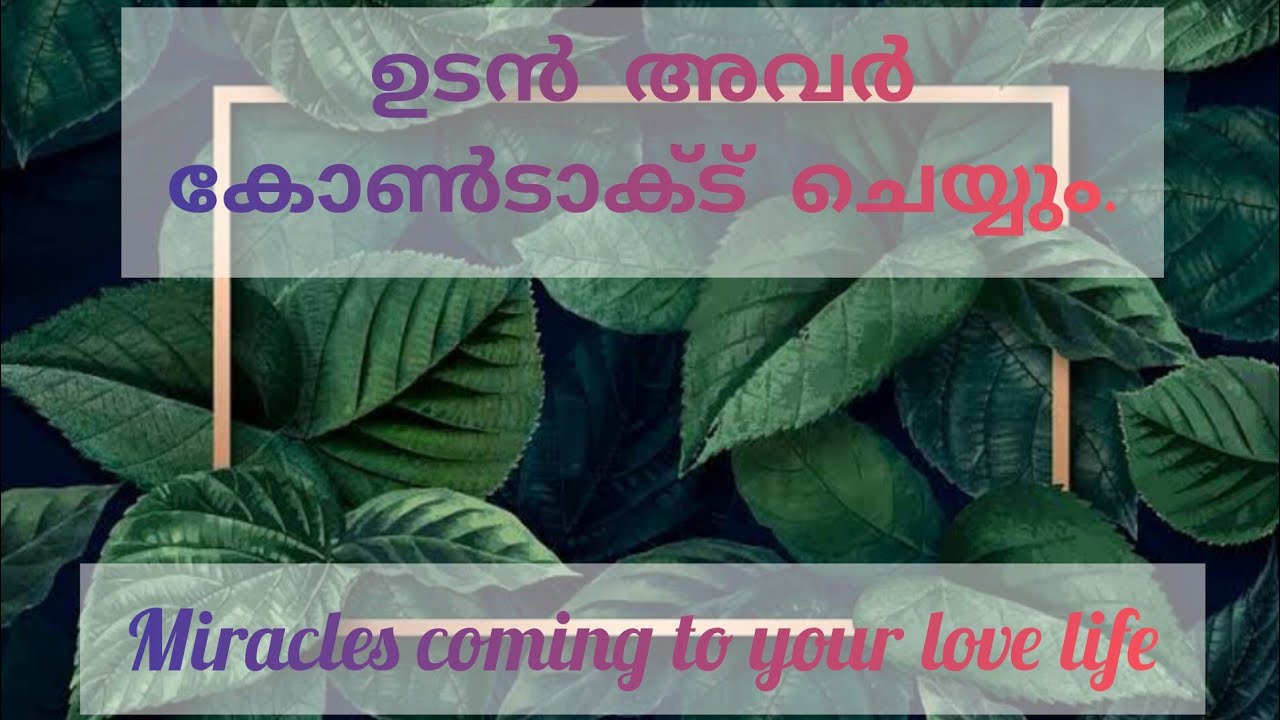 Miracle coming towards your love life അവരുടെ feelings #love #malayalam #relaxing