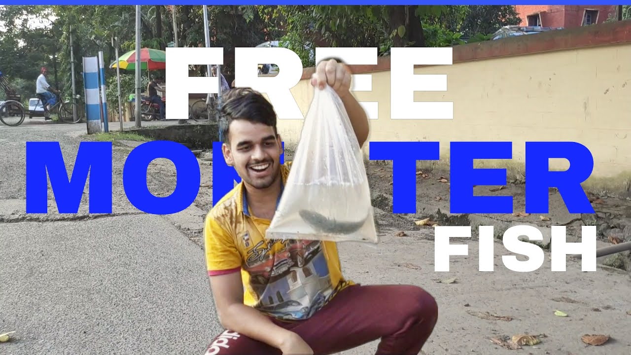 Fishing For FREE Monster Fish ! Caught Alive