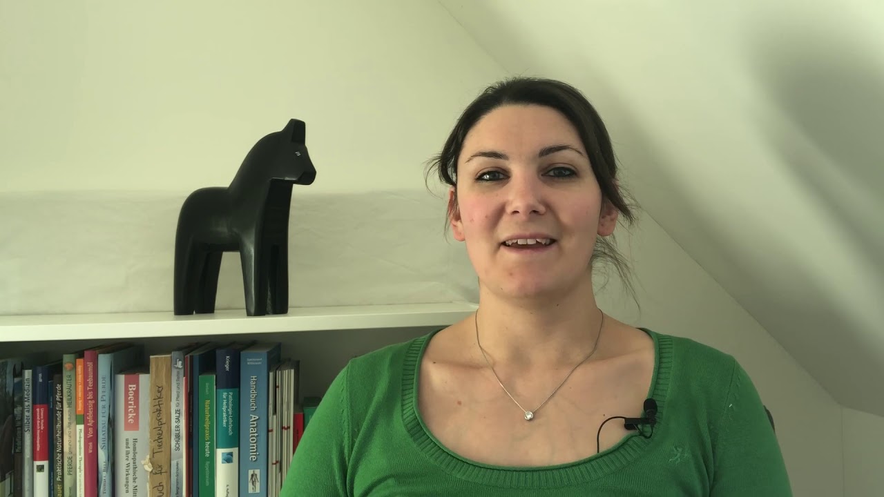 Ablauf pferdegest&uuml;tztes Coaching / Coaching mit Pferd