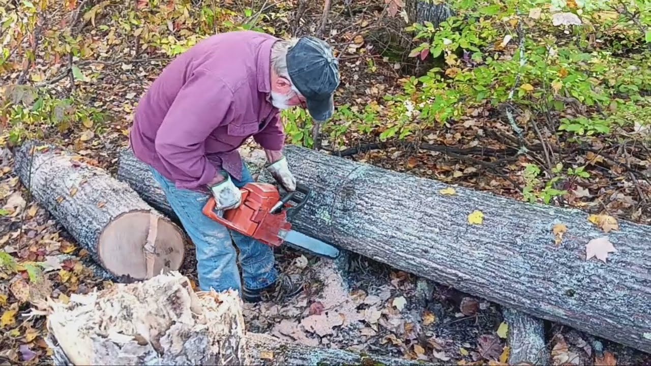 Veteran USMC '68 still got it cutting up white oak!