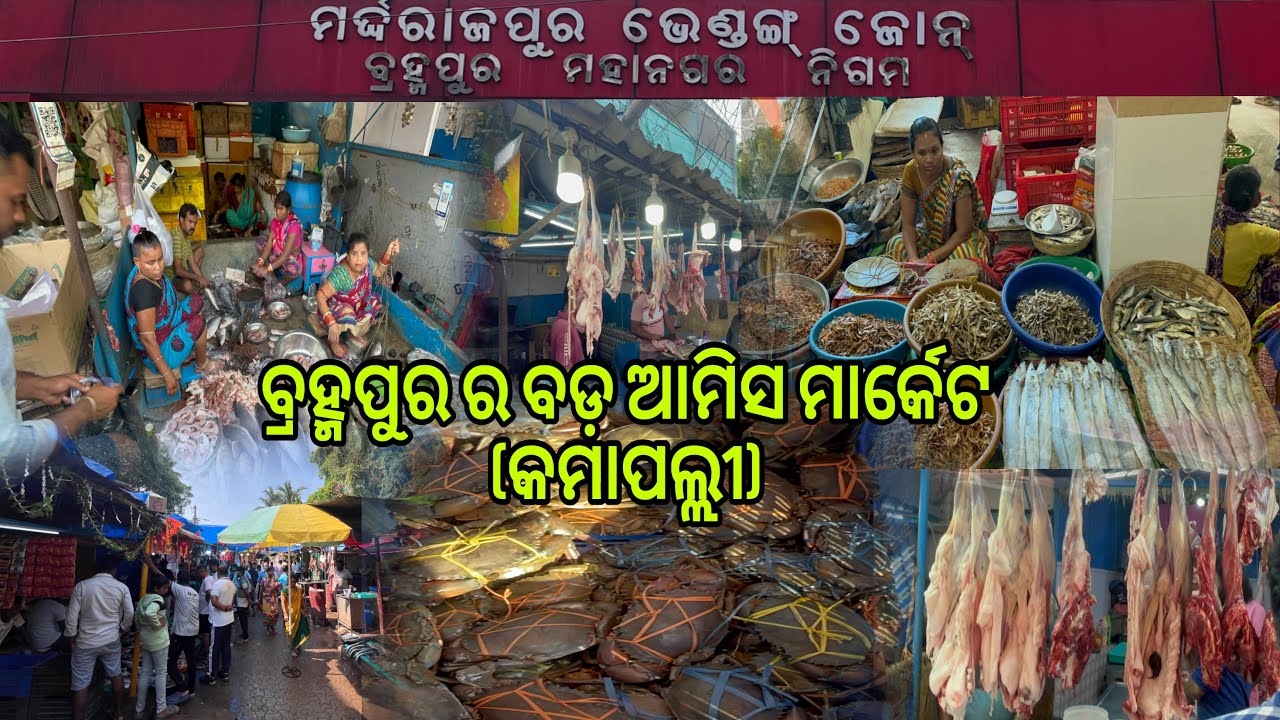 ବ୍ରହ୍ମପୁର ର ଏହି ମାର୍କେଟରେ ମାଛ ଚିକେନ ମଟନ ସୁକୁଆ ଅଣ୍ଡା କଙ୍କଡା ସବୁ କିଛି ସୁଲଭ ଦରରେ ମିଳେ॥Berhampur market