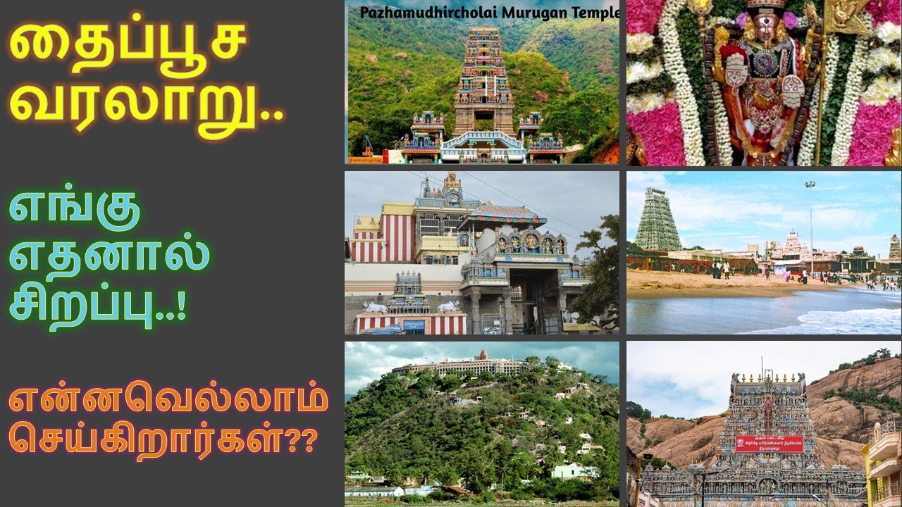 தைப்பூசம் உருவான வரலாறு -  பழனியில் தைப்பூச விழா